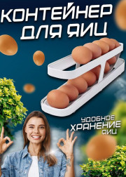 Контейнер для яиц в холодильник