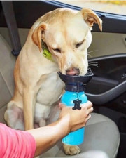 Поилка для собак