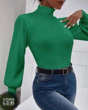 Водолазка 23013972