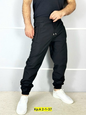 Спортивные брюки 23134378