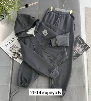 Спортивный костюм #23162343