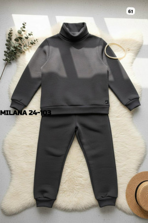 Спортивный костюм #23171135