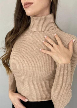 Водолазка 23178439