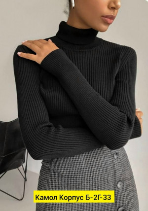 Водолазка #23194627