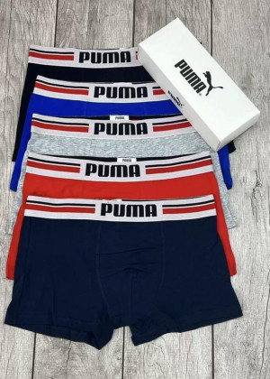 Трусы #23202057