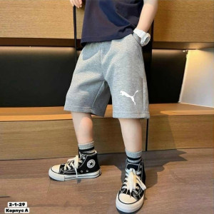 Шорты #23209301