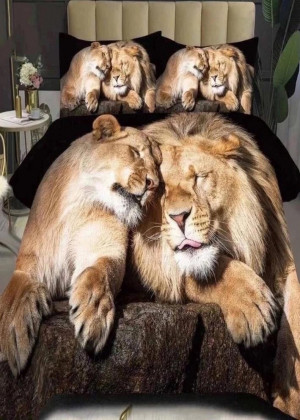 Постельное белье 23212877