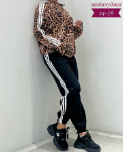 Спортивный костюм