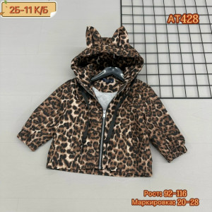 Ветровка #23224528