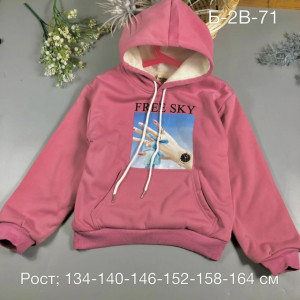 Толстовка #23226632