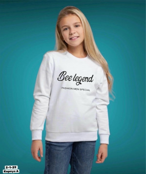 Толстовка #23227696