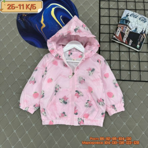 Ветровка #23232885