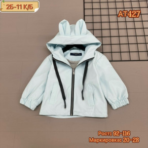 Ветровка #23233452