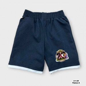 Шорты #23242001