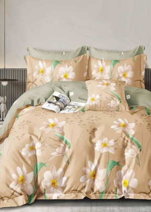 Постельное белье 23249307