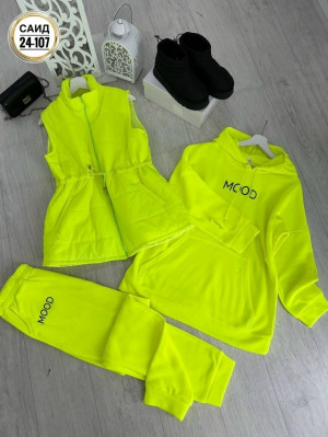 Жилет #23259344