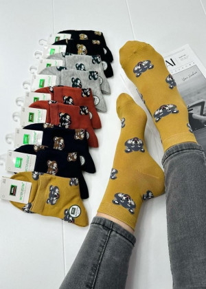 Носки #23260420