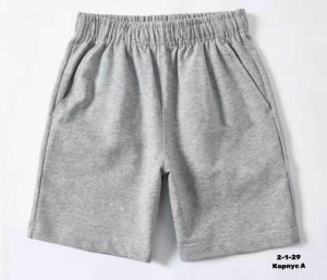 Шорты #23261054