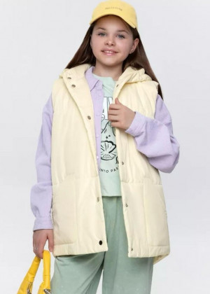 Жилет #23270675