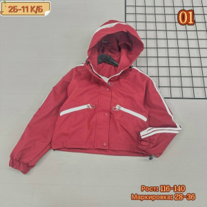 Ветровка #23276268