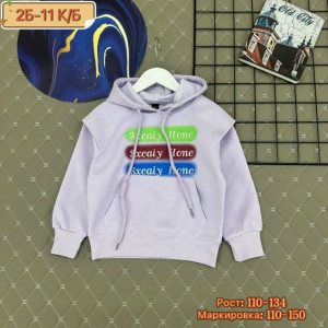 Толстовка 23278177