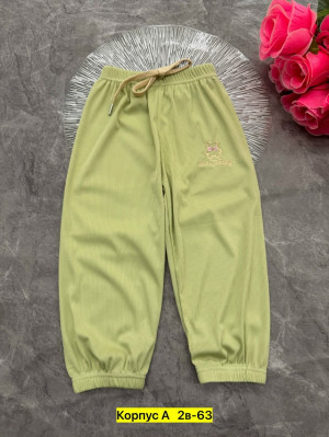 Штаны 23278269