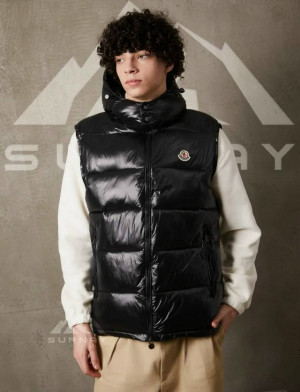 Жилет #23284238