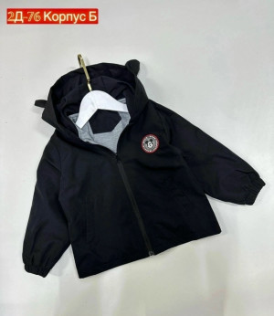 Ветровка 23304265