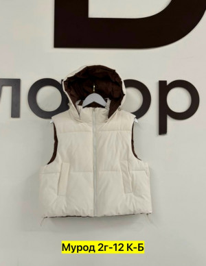 Жилет #23306576