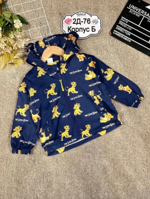 Ветровка #23315806