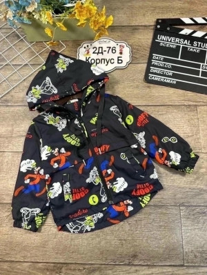 Ветровка #23325847