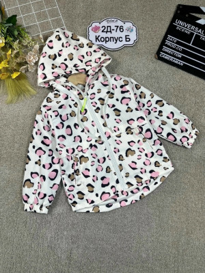 Ветровка #23325848