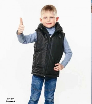 Жилет #23331520