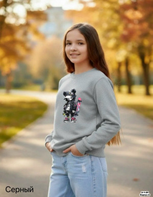 Толстовка 23331659