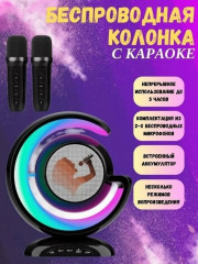 Караоке колонка с двумя микрофонами