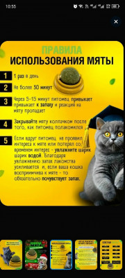 Форма