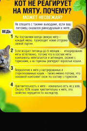 Форма