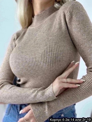 Водолазка #23405165