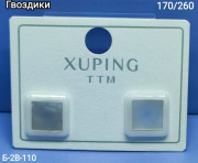 Серьги