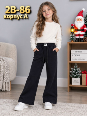 Штаны #23497604
