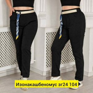 Штаны #23504001