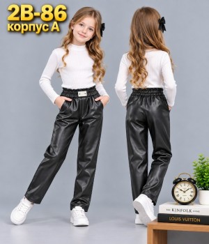 Штаны 23523116
