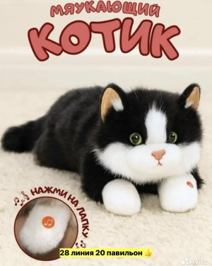 Котик #23546155