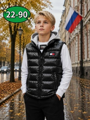 Жилет #23550451