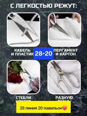 Ножницы #23553226