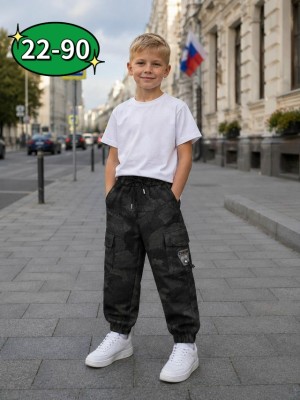 Штаны 23554133