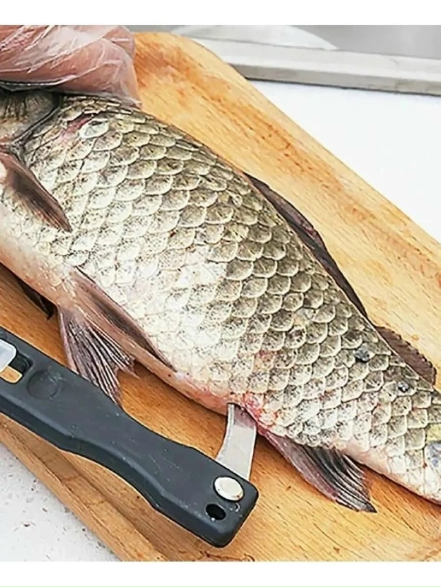 Рыбочистка 23023351