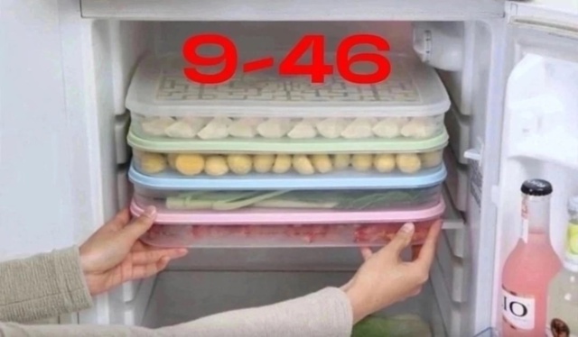 Контейнер для заморозки 23024139