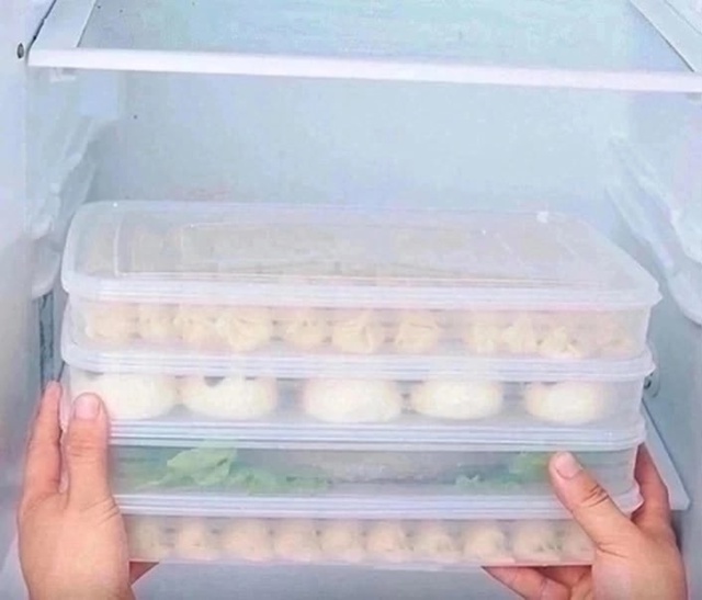 Контейнер для заморозки 23024139