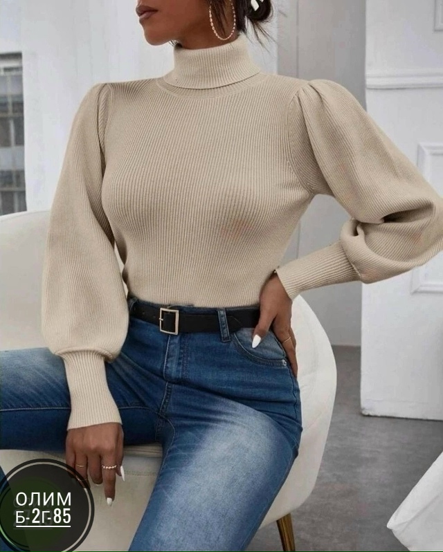 Водолазка 23031259